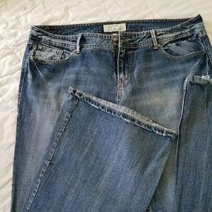 Maurices Jeans